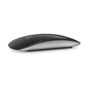 Magic Mouse 2